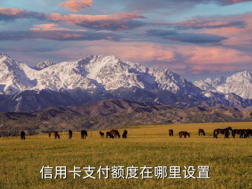 淘寶怎么設(shè)置信用卡額度，淘寶信用卡快捷支付限額怎么修改
