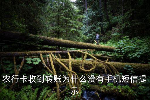 農(nóng)行短信怎么不顯示轉(zhuǎn)款用途，銀行卡短信提醒怎么樣的交易提示為工資