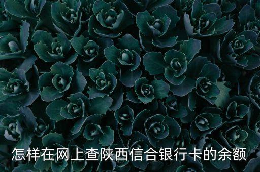 怎樣在網上查陜西信合銀行卡的余額