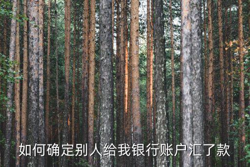 如何確定別人給我銀行賬戶(hù)匯了款