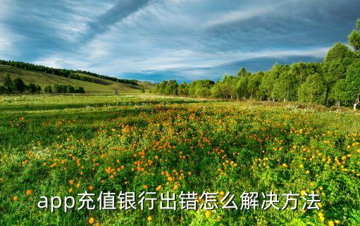 app充值銀行出錯(cuò)怎么解決方法