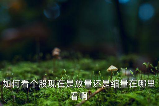 如何看個(gè)股現(xiàn)在是放量還是縮量在哪里看啊