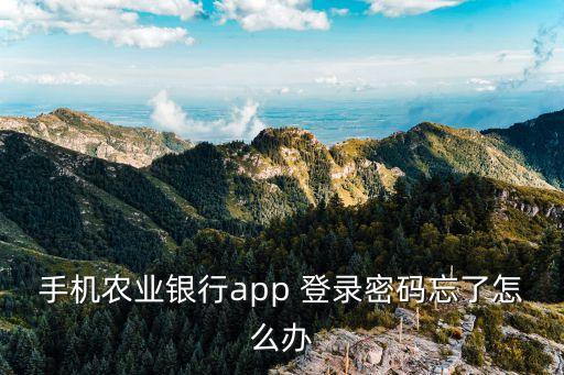 農(nóng)業(yè)銀行軟件怎么登錄密碼，手機(jī)農(nóng)業(yè)銀行app 登錄密碼忘了怎么辦