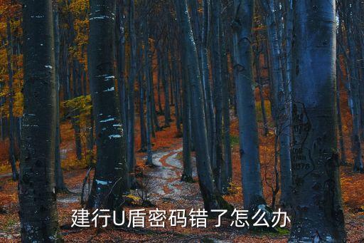 u盾密碼錯誤怎么辦建行，建行u盾密碼怎么找回來啊