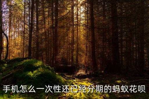 手機(jī)怎么一次性還已經(jīng)分期的螞蟻花唄