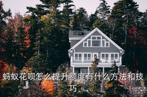 花唄怎么快速增加額度，螞蟻花唄怎么提升額度有什么方法和技巧