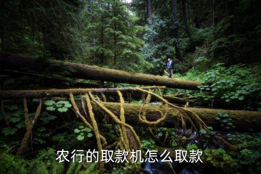 農(nóng)行用存取機(jī)怎么取錢(qián)，農(nóng)業(yè)銀行自動(dòng)存錢(qián)機(jī)可以取錢(qián)嗎怎么取 謝謝