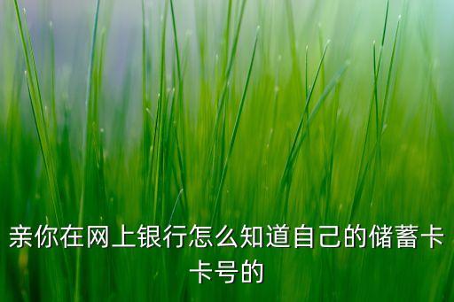 親你在網(wǎng)上銀行怎么知道自己的儲蓄卡卡號的