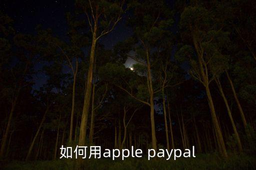 如何用apple paypal