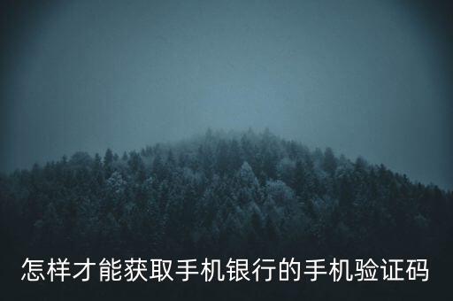 怎樣才能獲取手機(jī)銀行的手機(jī)驗證碼