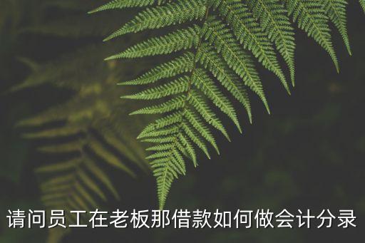員工向公司借款公帳怎么走，請問員工在老板那借款如何做會計分錄