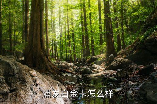 東航浦發(fā)白金卡怎么樣，浦發(fā)白金卡怎么樣