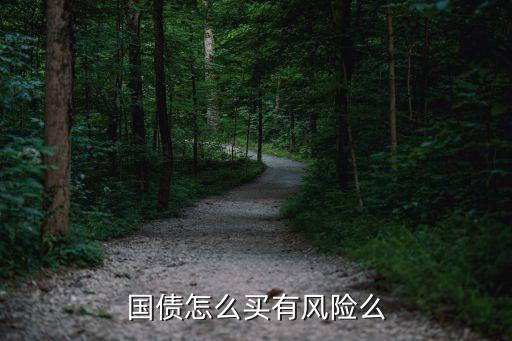 國債怎么買有風(fēng)險(xiǎn)嗎，國債怎么買有風(fēng)險(xiǎn)么