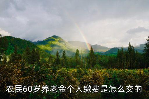 農(nóng)村年滿60周歲養(yǎng)老保險(xiǎn)怎么繳納，農(nóng)民60歲養(yǎng)老金個(gè)人繳費(fèi)是怎么交的