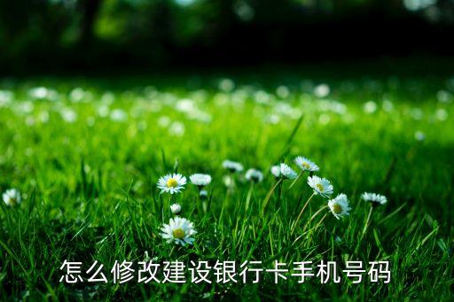 建行怎么更改綁定手機(jī)，中國(guó)建設(shè)銀行如何修改綁定的手機(jī)號(hào)碼
