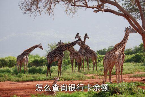 怎么在手機(jī)上查看銀行卡余額查詢，怎么查詢銀行卡余額