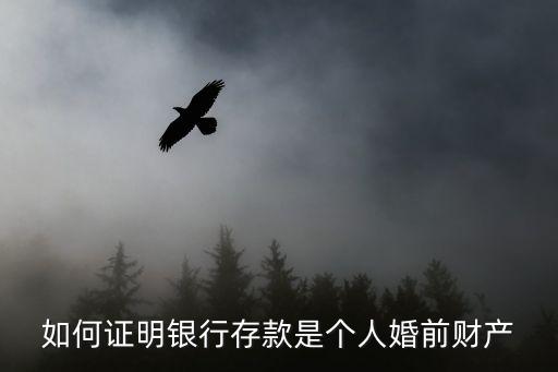 如何證明銀行存款是個(gè)人婚前財(cái)產(chǎn)