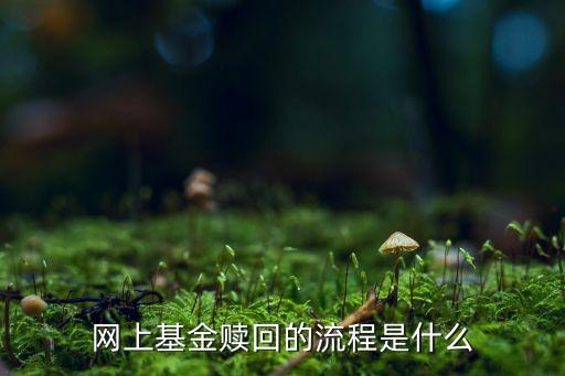 基金在網(wǎng)上怎么贖回，網(wǎng)上基金贖回的流程是什么