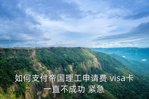 visa卡 怎么支付申請費，有密碼的VISA信用卡怎么支付申請費啊我都愁死了