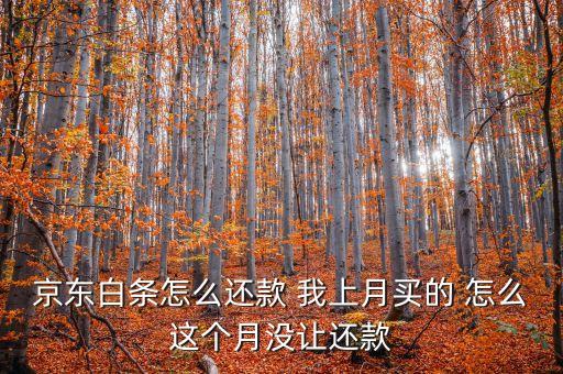 京東白條怎么還款 我上月買的 怎么這個(gè)月沒讓還款