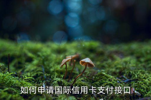 如何申請(qǐng)國(guó)際信用卡支付接口