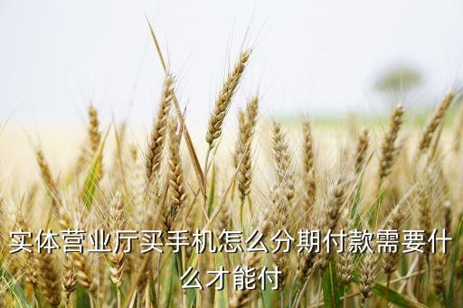 實(shí)體營業(yè)廳買手機(jī)怎么分期付款需要什么才能付