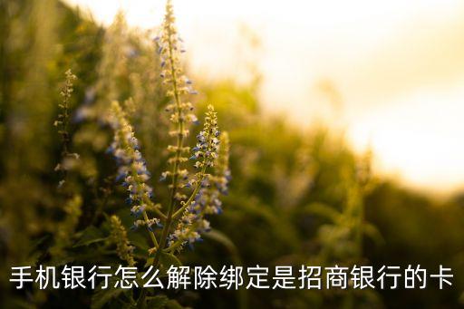 手機(jī)銀行怎么解除綁定是招商銀行的卡
