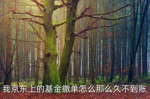 京東理財處理超時怎么回事，京東保險理財購買后為什么訂單一直顯示處理中