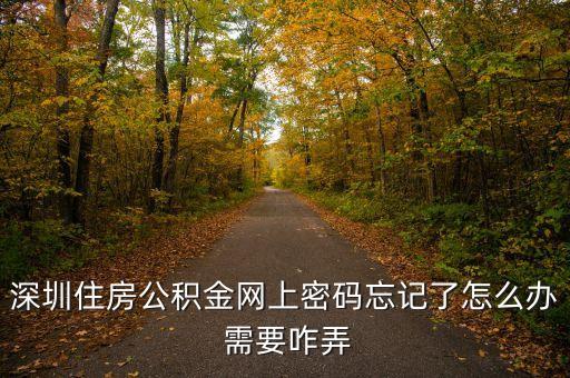 深圳住房公積金網(wǎng)上密碼忘記了怎么辦 需要咋弄