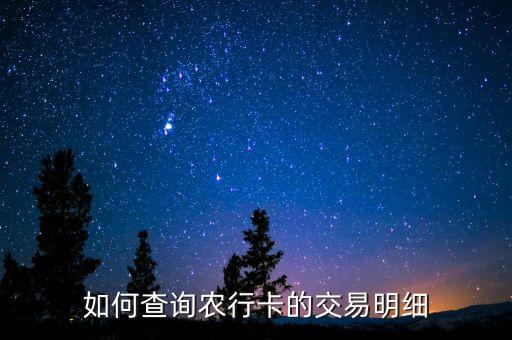 如何查詢農(nóng)行卡的交易明細