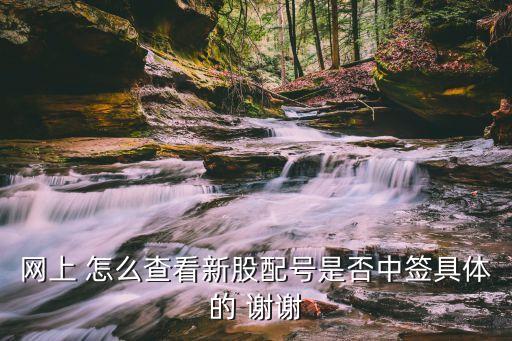 網(wǎng)上 怎么查看新股配號(hào)是否中簽具體的 謝謝