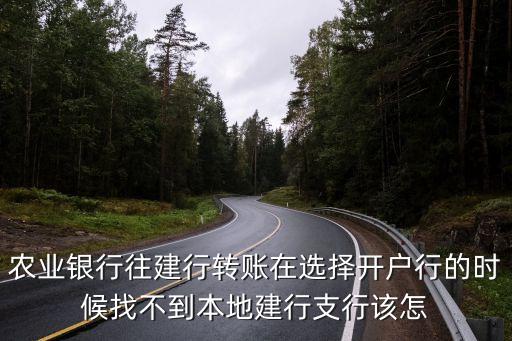 農(nóng)業(yè)銀行往建行轉(zhuǎn)賬在選擇開戶行的時候找不到本地建行支行該怎