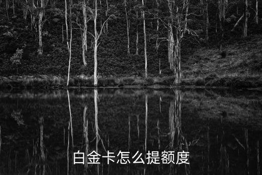 白金卡怎么提額度