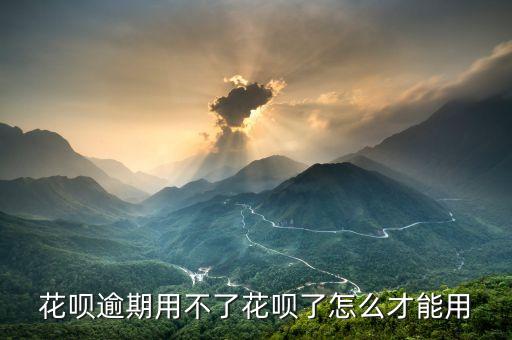 花唄逾期用不了花唄了怎么才能用