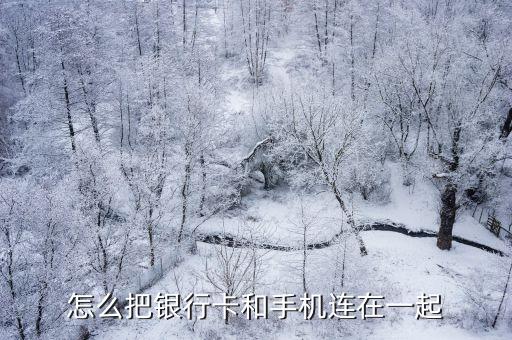 怎么把銀行卡和手機(jī)連在一起