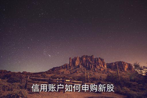普通戶和信用賬戶怎么申購新股，信用賬戶與普通賬戶能同時(shí)申購新股嗎