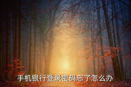 銀行登錄輸入不了密碼忘了怎么辦，手機(jī)銀行登錄密碼忘了怎么辦