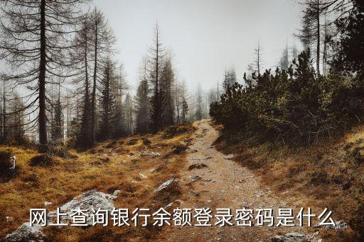 怎么查看銀行登錄密碼是什么，網(wǎng)上查詢銀行余額登錄密碼是什么