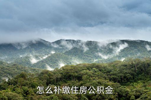 公積金補繳怎么操作流程，怎么補繳住房公積金