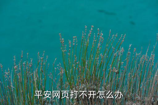 平安網(wǎng)頁打不開怎么辦
