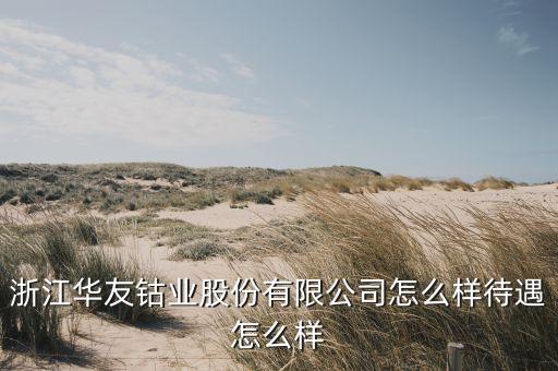 浙江華友鈷業(yè)股份有限公司怎么樣待遇怎么樣