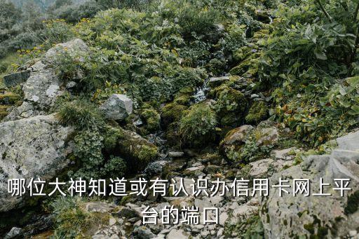 怎么申請信用卡收款網(wǎng)站接口，哪位大神知道或有認(rèn)識辦信用卡網(wǎng)上平臺的端口