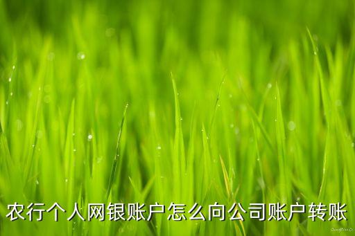 農行個人網(wǎng)銀賬戶怎么向公司賬戶轉賬