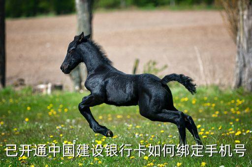 建行卡怎么綁定手機(jī)，建設(shè)銀行的卡如何綁定手機(jī)號(hào)