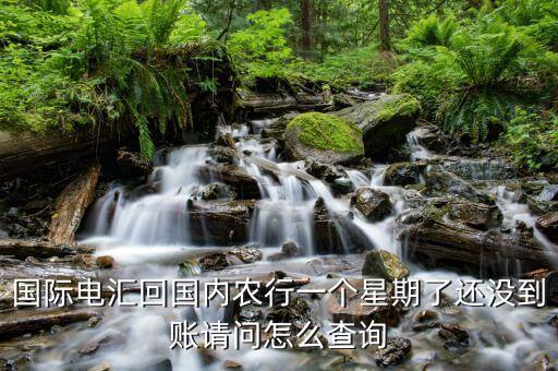 國外匯款怎么查詢到賬，我朋友從美國給我匯錢回來我要怎么才能查到錢已到賬