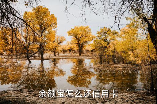 使用余額寶怎么還錢，怎么用余額寶給信用卡還款