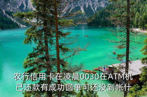 農(nóng)行信用卡在凌晨0030在ATM機已還款有成功回單可還沒到帳什