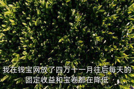 我在錢寶網放了四萬十一月往后每天的固定收益和寶卷都在降低