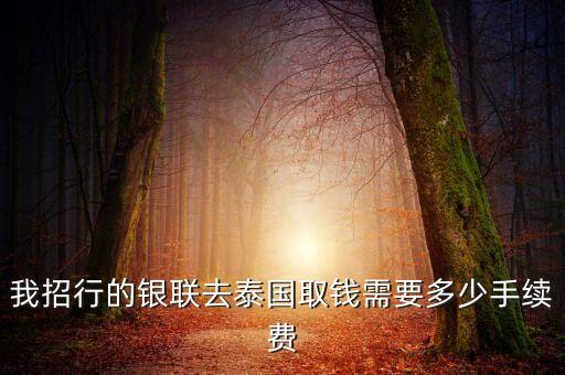 招行信用卡 泰國取現(xiàn)手續(xù)費怎么算，招行信用卡在泰國取泰銖手續(xù)費怎么算