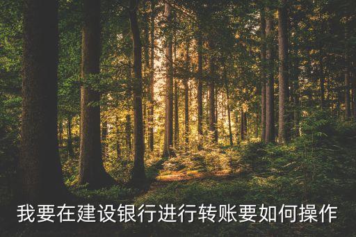 我要在建設(shè)銀行進(jìn)行轉(zhuǎn)賬要如何操作